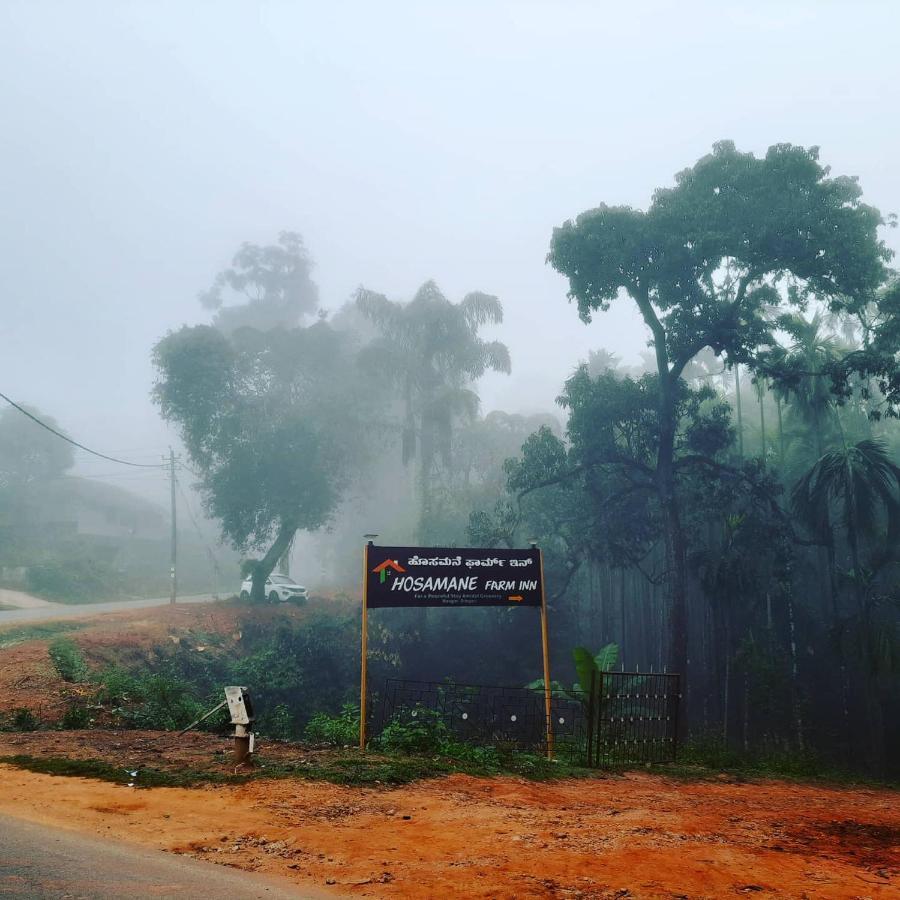 Hosamane Farm Inn Sringeri المظهر الخارجي الصورة
