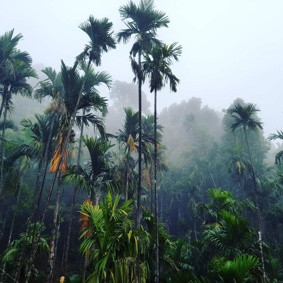 Hosamane Farm Inn Sringeri المظهر الخارجي الصورة