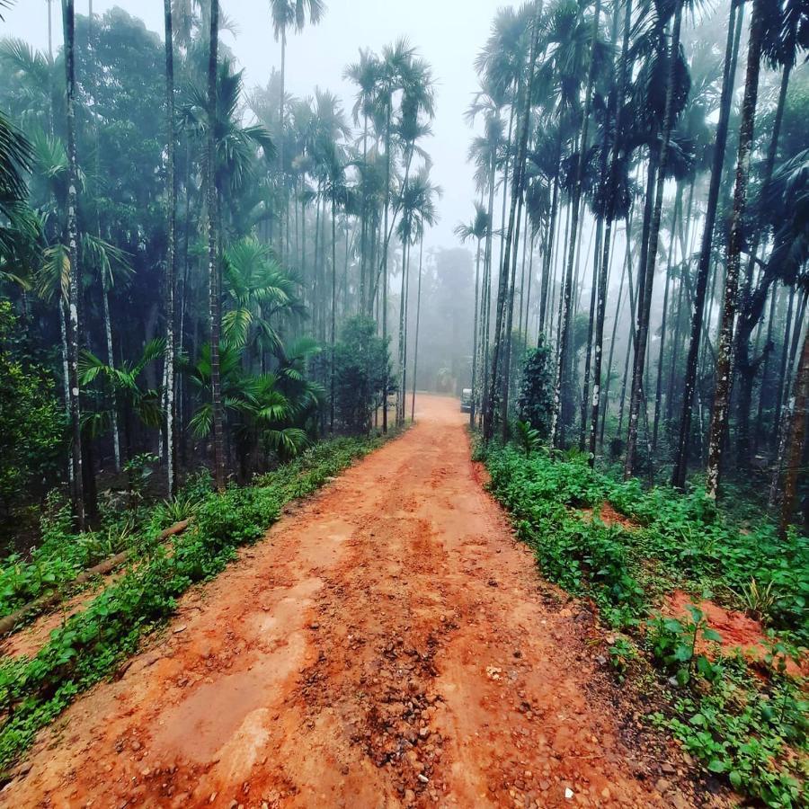 Hosamane Farm Inn Sringeri المظهر الخارجي الصورة