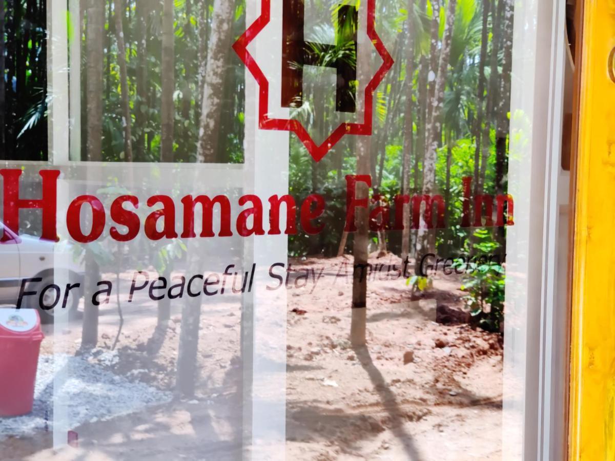 Hosamane Farm Inn Sringeri المظهر الخارجي الصورة