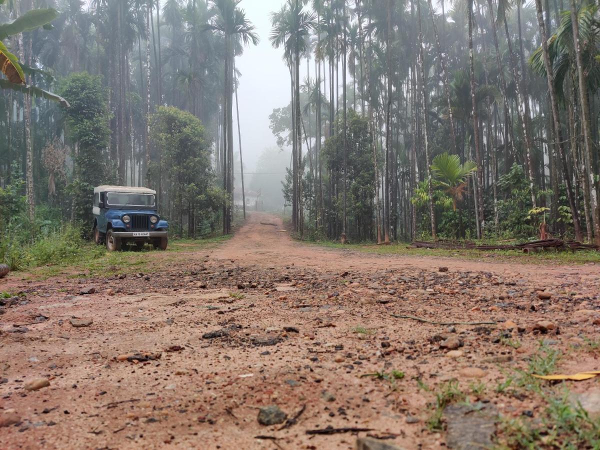 Hosamane Farm Inn Sringeri المظهر الخارجي الصورة