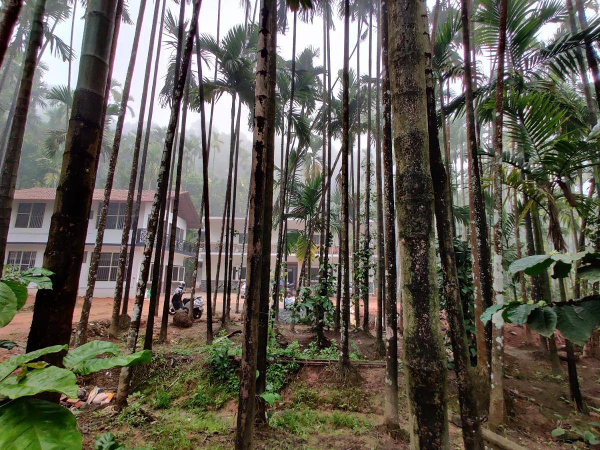 Hosamane Farm Inn Sringeri المظهر الخارجي الصورة