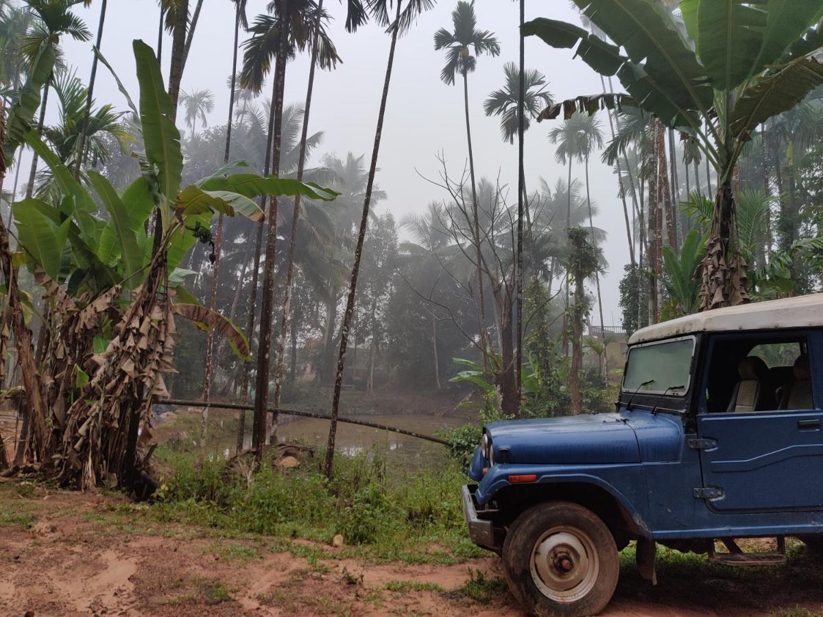 Hosamane Farm Inn Sringeri المظهر الخارجي الصورة