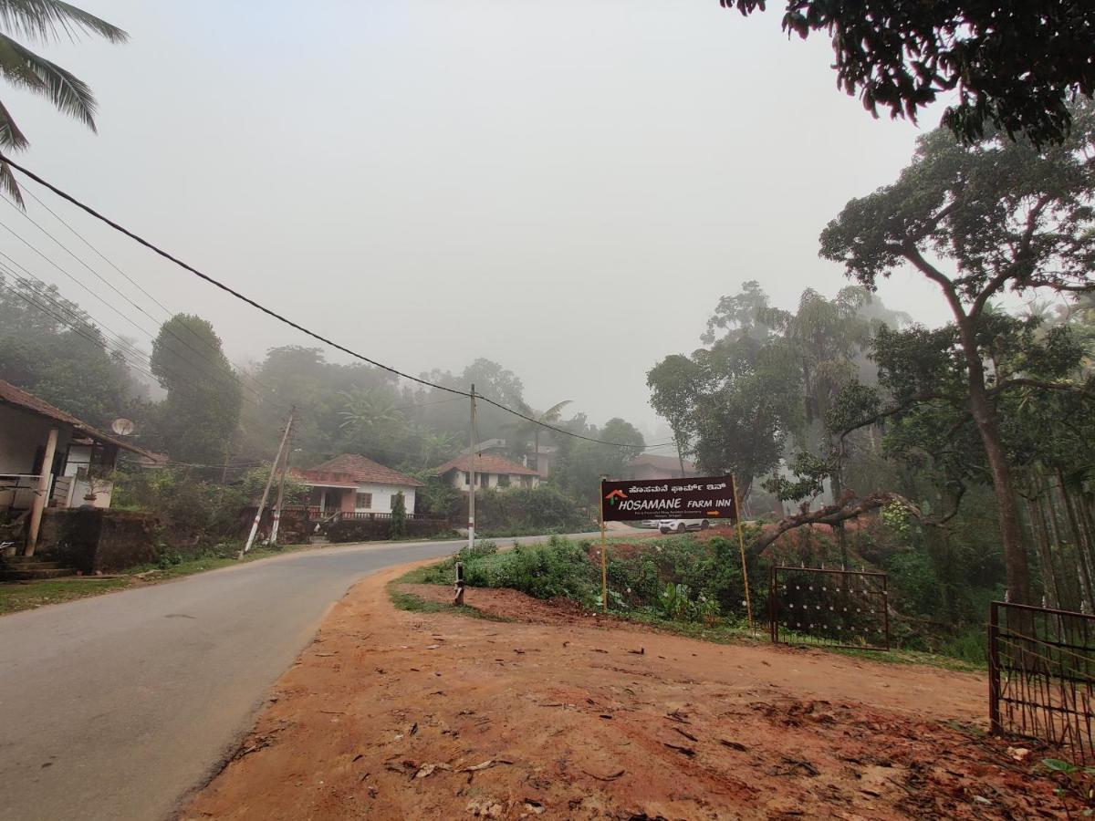 Hosamane Farm Inn Sringeri المظهر الخارجي الصورة