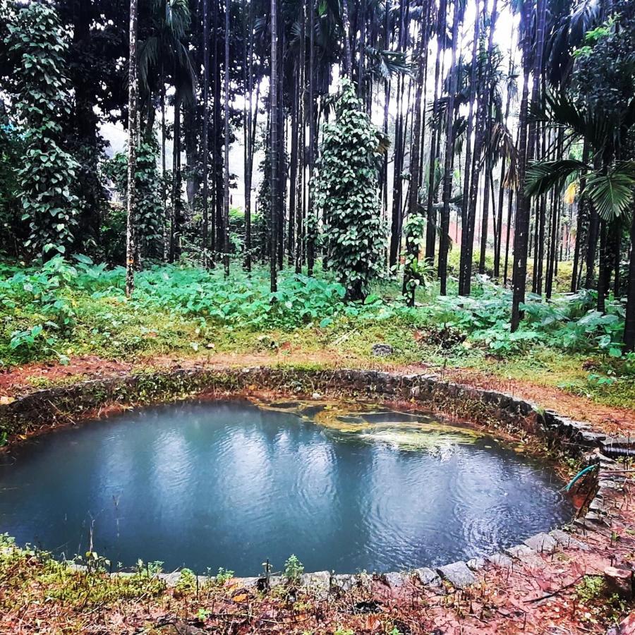 Hosamane Farm Inn Sringeri المظهر الخارجي الصورة