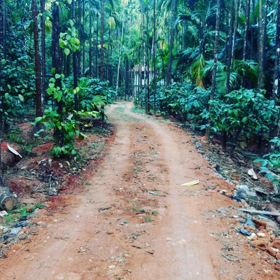 Hosamane Farm Inn Sringeri المظهر الخارجي الصورة